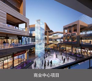 PSH五層升降橫移類榴莲视频APP在线观看設備商業中心項目