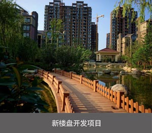 PSH五層升降橫移類榴莲视频APP在线观看設備新樓盤開發項目