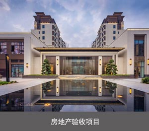 PSH五層升降橫移類榴莲视频APP在线观看設備房地產驗收項目